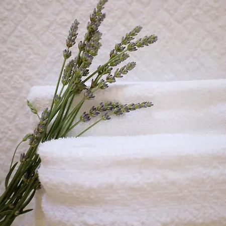 Lucica, Luxury By The Sea 4* 普契什查